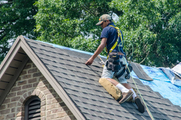 Best Roof Replacement Cost  in Greenville, VA